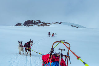 Drømmer du om vintertur med snødekte fjell, dansende nordlys og klare stjernenetter?